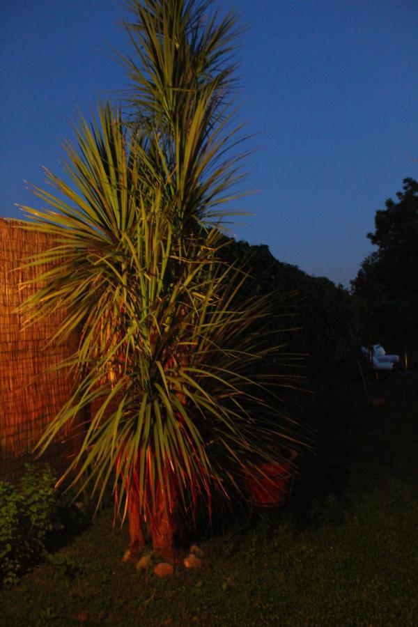 Residenza Caserta Sud - Appartamento Con Giardino Exterior foto